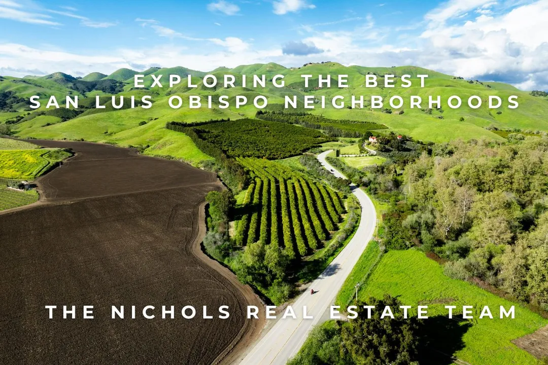 San Luis Obispo Neighborhoods Scenic aerial view of rolling green hills, vineyards, and a winding road, showcasing the natural beauty and charm of the best San Luis Obispo neighborhoods.